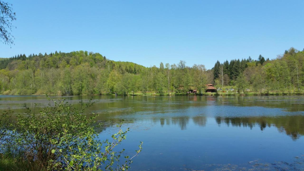 הוילה Ludwigswinkel Haus Elsbeere מראה חיצוני תמונה